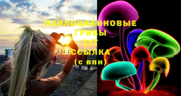 винт Богородск