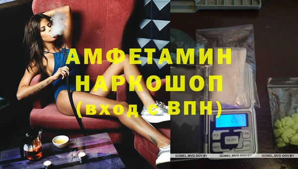 шишки Богородицк