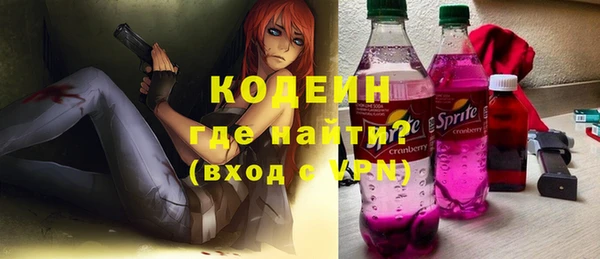 шишки Богородицк
