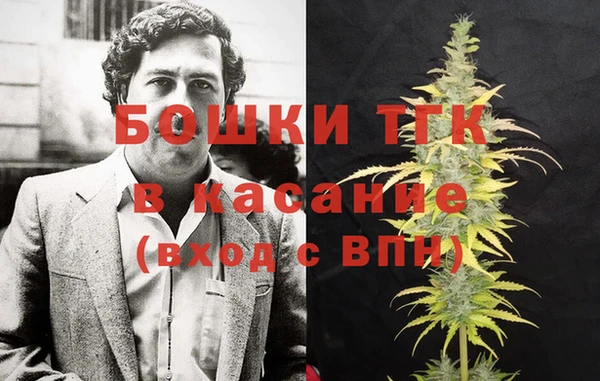 шишки Богородицк